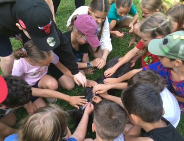 Výcvik psů 1. - 4. třída