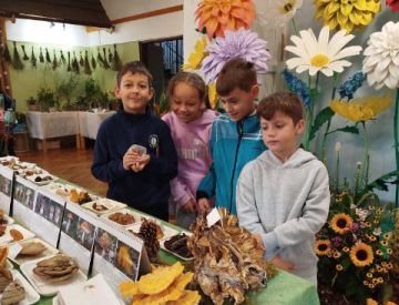 Výstava zahrádkářů 4. třída
