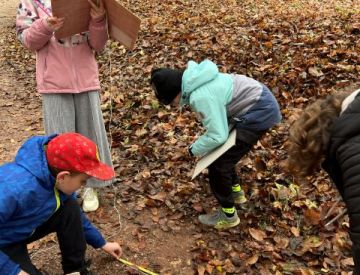 Den stromů - 5. třída