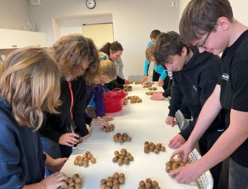 Akce ŠP - Ořechový kvíz