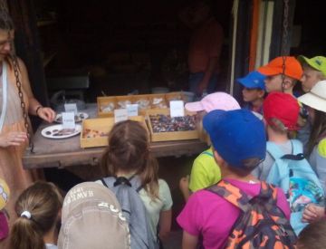 stažený soubor (11).jpg