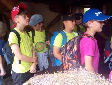 stažený soubor (13).jpg