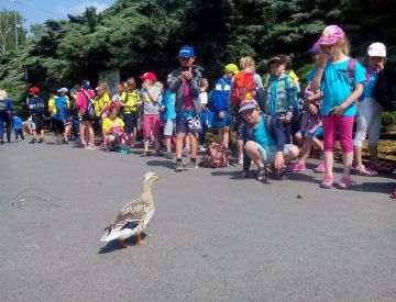 stažený soubor (44).jpg