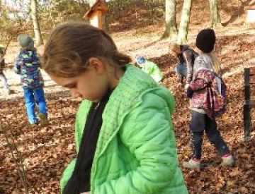 DSCN7686.JPGsběr žaludů.JPG