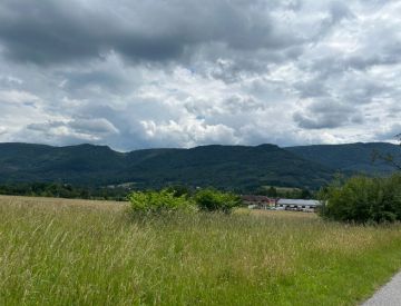 IMG_9706.JPG