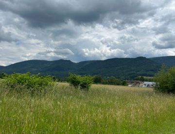 IMG_9707.JPG